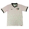 Maillot de Supporter São Paulo Special 2024-25 Pour Homme